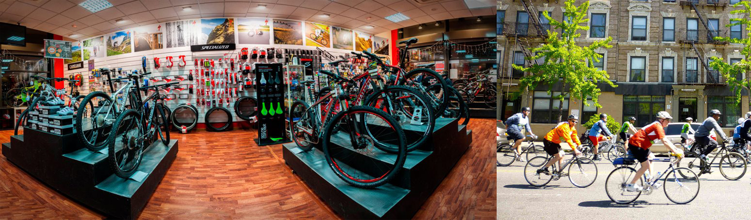 conjunción Socialismo Trascender Tienda de Bicicletas - 10 Mejores Empresas